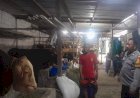 Wujud-Ketahanan-Pangan-Bergizi,-Puluhan-Hewan-Kurban-di-Desa-Bangsri-Siap-Dipasarkan-Sambut-Idul-Adha