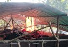 Tindak-Tegas-Perjudian-Polres-Mojokerto-Bongkar-Arena-Sabung-Ayam
